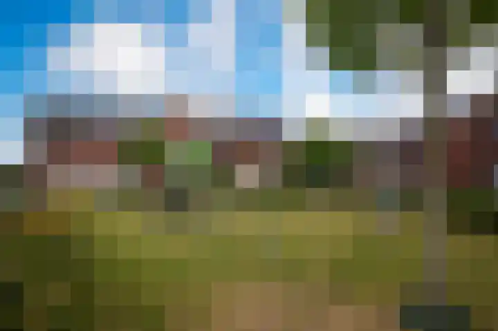 De Poort 12 Kesteren thumbnail 33