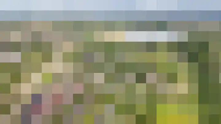 De Poort 12 Kesteren thumbnail 36