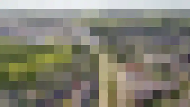 De Poort 12 Kesteren thumbnail 38