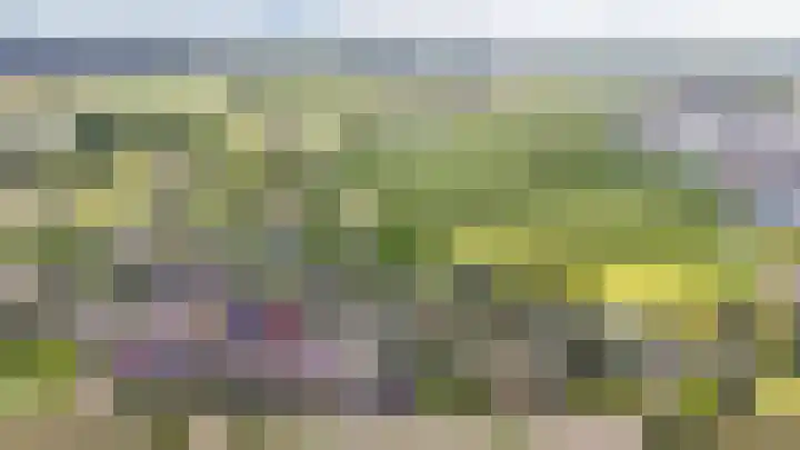 De Poort 12 Kesteren thumbnail 39