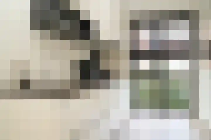 De Poort 12 Kesteren thumbnail 4