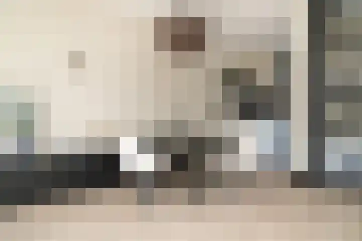 De Poort 12 Kesteren thumbnail 6