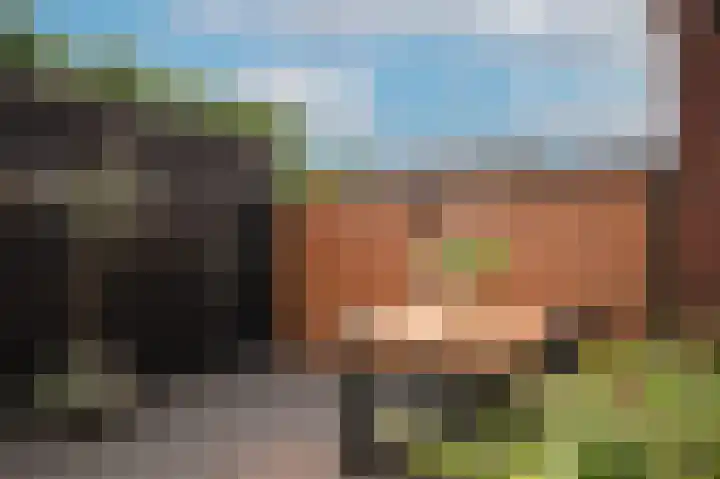 De Poort 12 Kesteren thumbnail 7