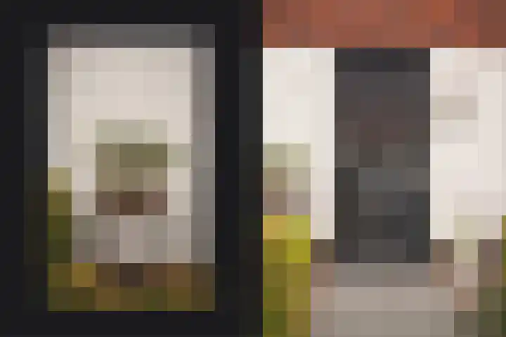 De Poort 12 Kesteren thumbnail 9