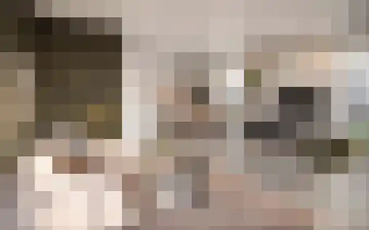 De Poort 17 Deurne thumbnail 5