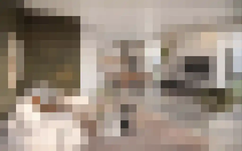 De Poort 17 Deurne thumbnail 5