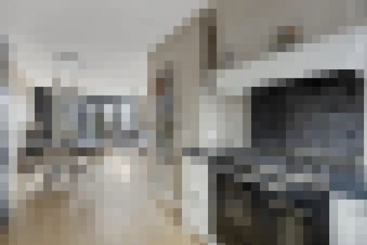 De Poort 20 Kesteren thumbnail 10