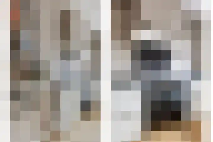 De Poort 20 Kesteren thumbnail 10