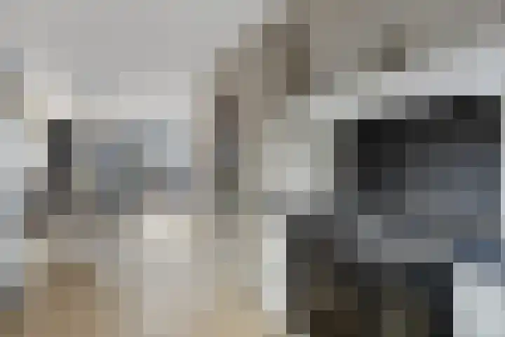 De Poort 20 Kesteren thumbnail 11