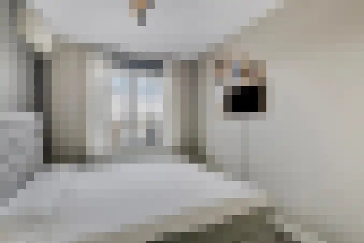 De Poort 20 Kesteren thumbnail 14