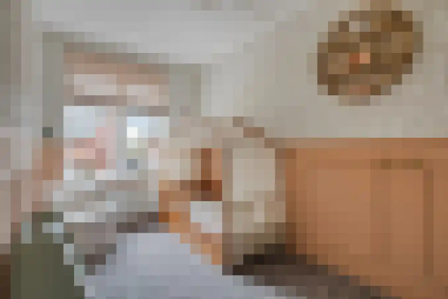 De Poort 20 Kesteren thumbnail 15