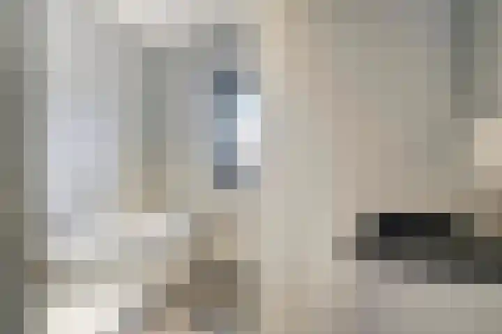 De Poort 20 Kesteren thumbnail 20
