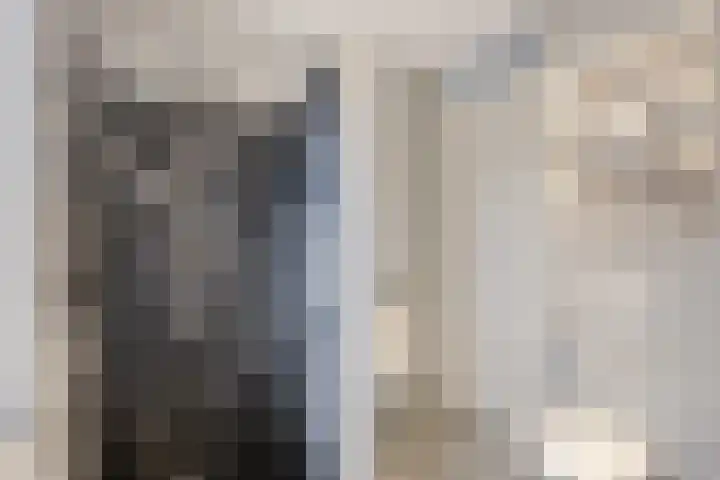 De Poort 20 Kesteren thumbnail 21