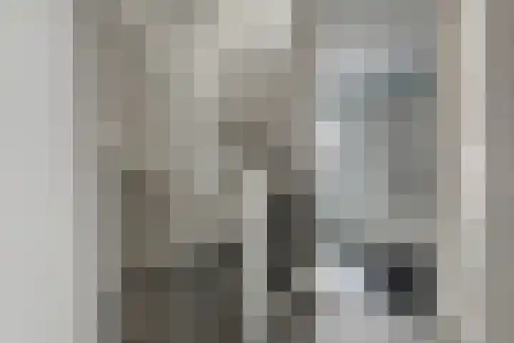De Poort 20 Kesteren thumbnail 23