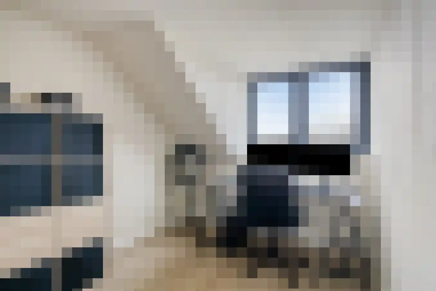 De Poort 20 Kesteren thumbnail 25