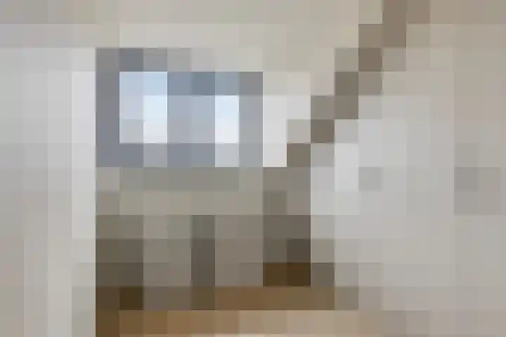 De Poort 20 Kesteren thumbnail 25