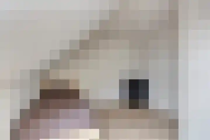 De Poort 20 Kesteren thumbnail 27