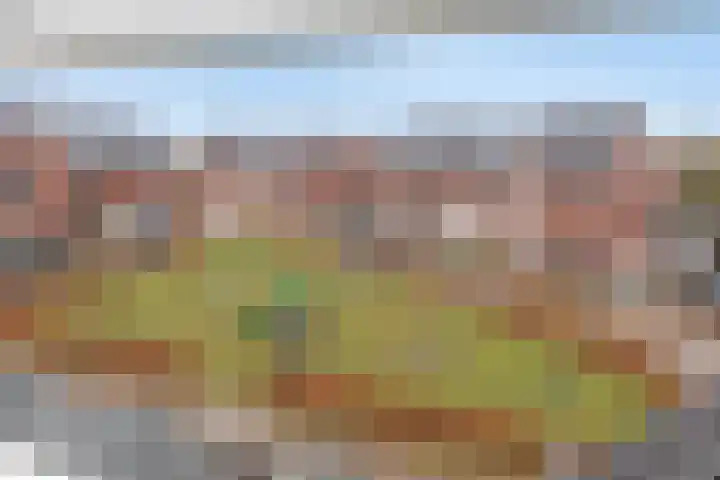 De Poort 20 Kesteren thumbnail 29