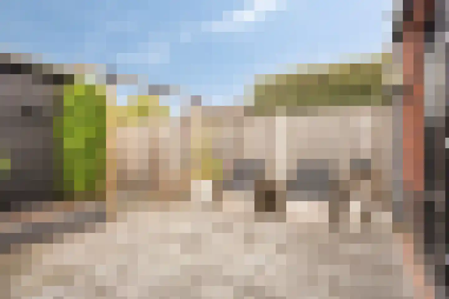 De Poort 20 Kesteren thumbnail 31