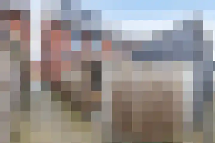 De Poort 20 Kesteren thumbnail 32