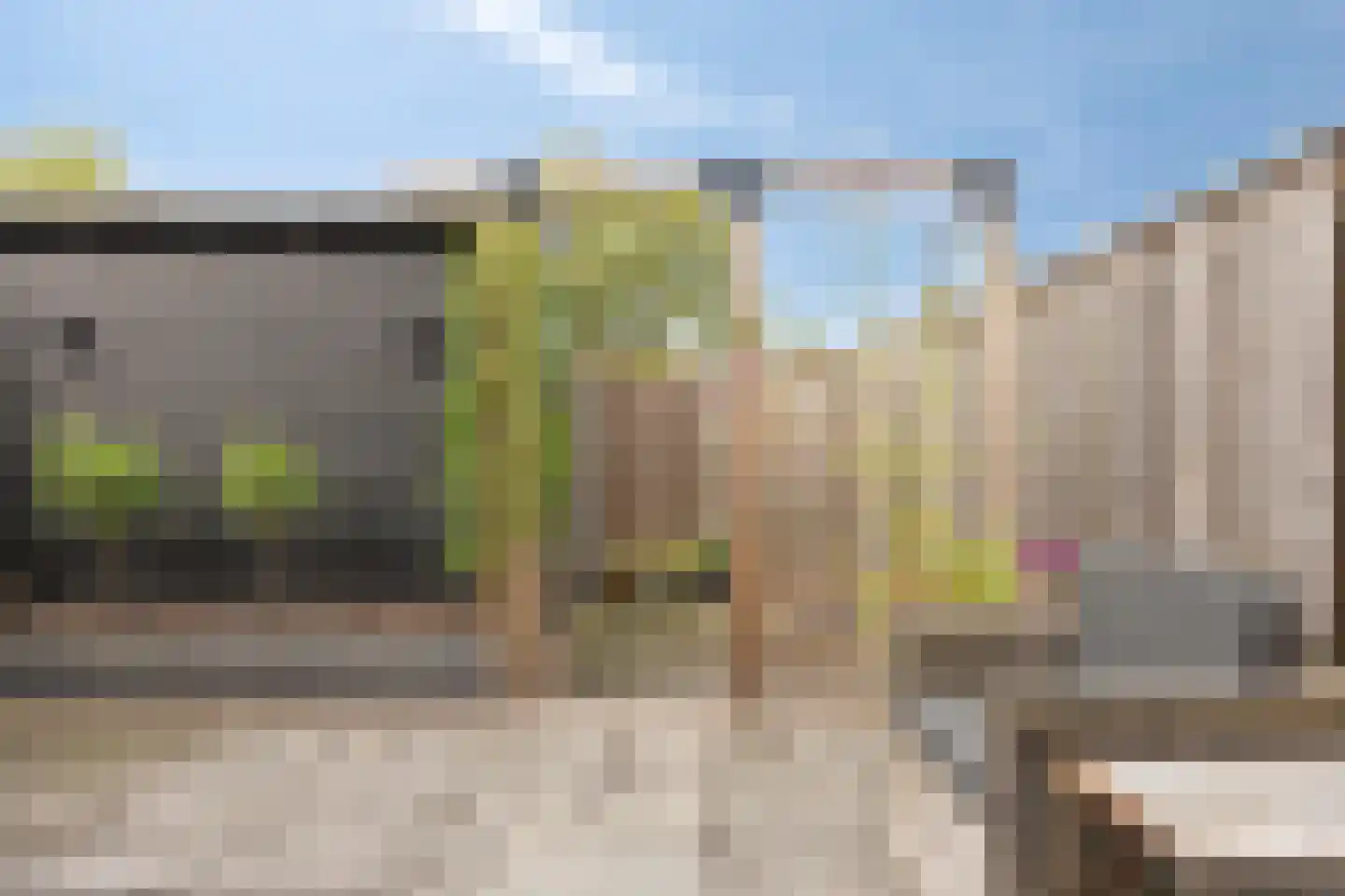 De Poort 20 Kesteren thumbnail 32