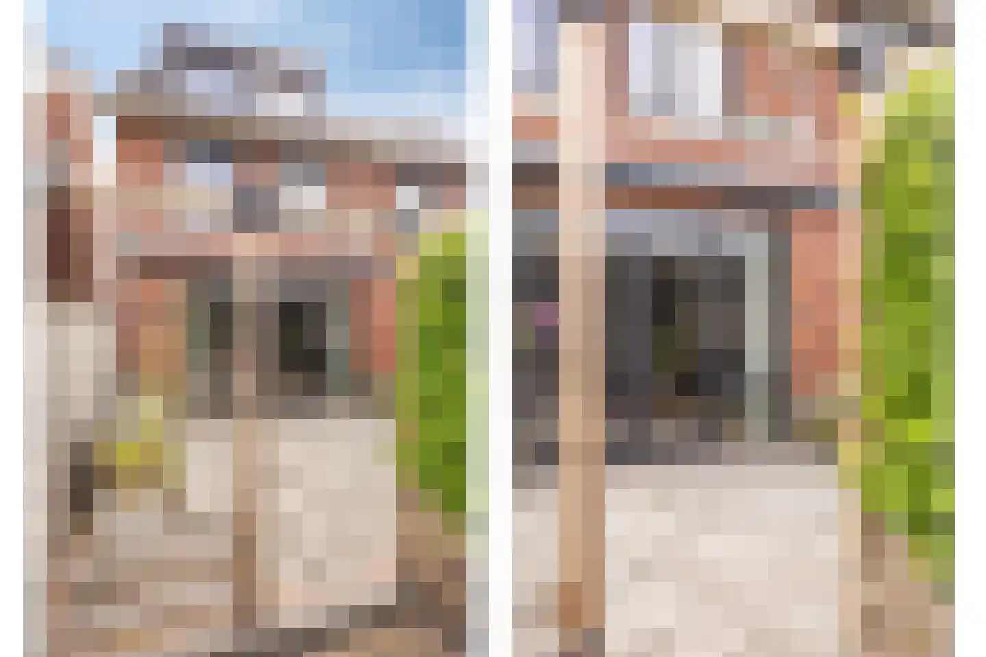 De Poort 20 Kesteren thumbnail 33