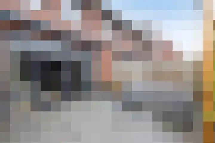 De Poort 20 Kesteren thumbnail 33