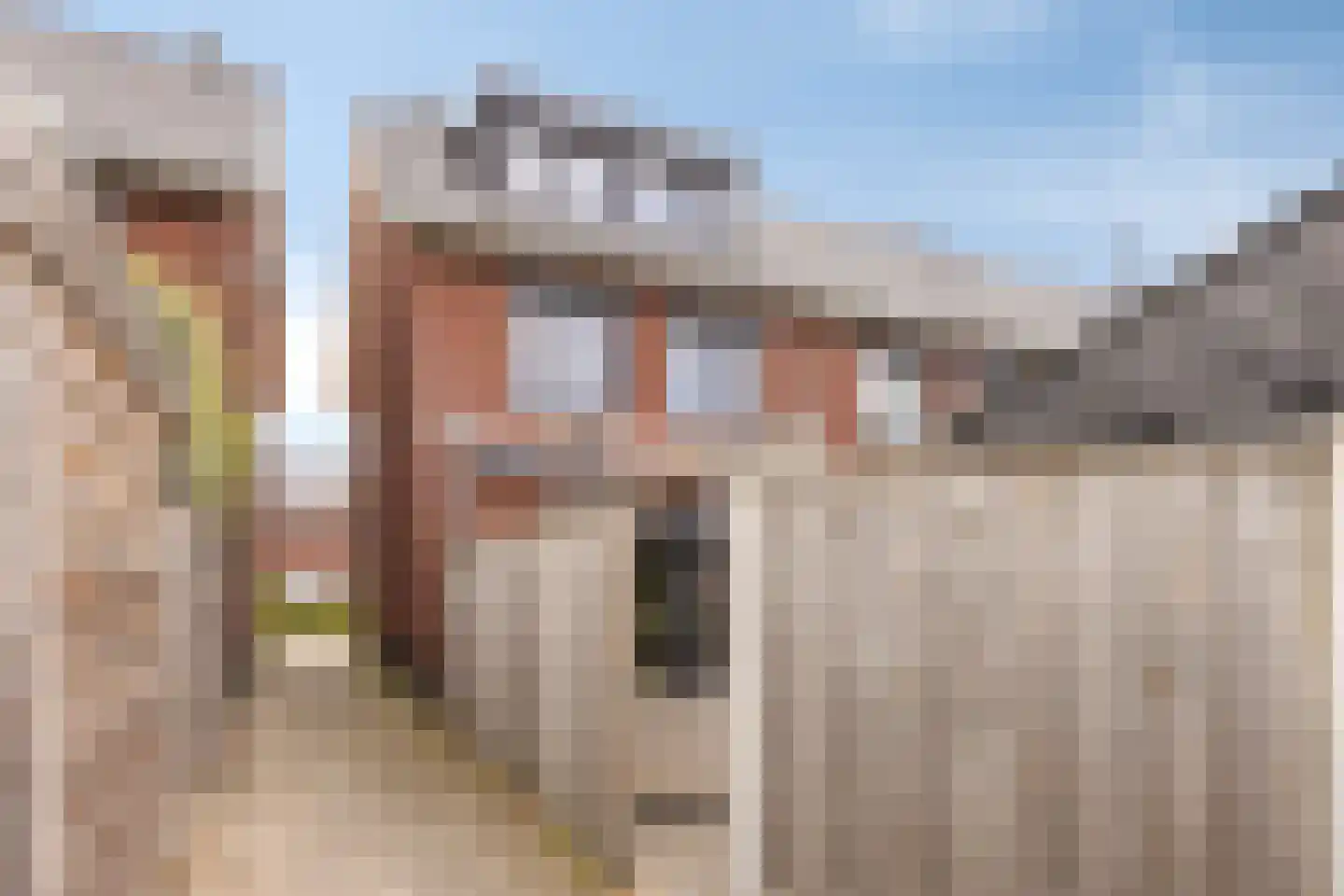 De Poort 20 Kesteren thumbnail 34
