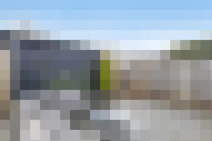 De Poort 20 Kesteren thumbnail 35