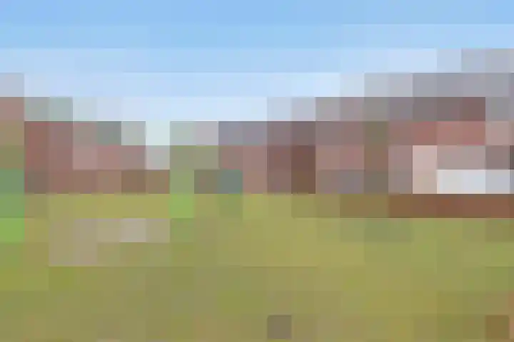 De Poort 20 Kesteren thumbnail 38
