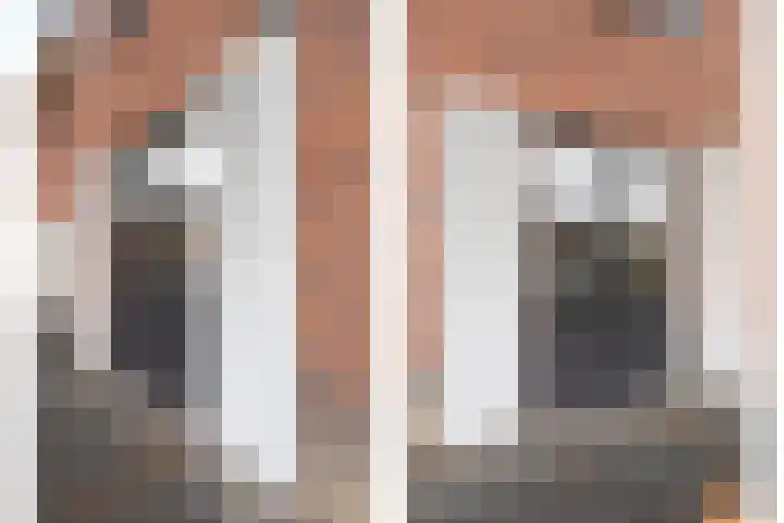 De Poort 20 Kesteren thumbnail 41