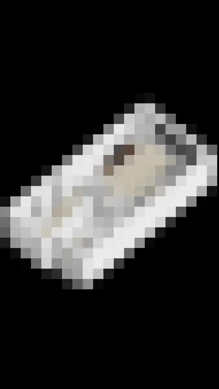 De Poort 20 Kesteren thumbnail 42