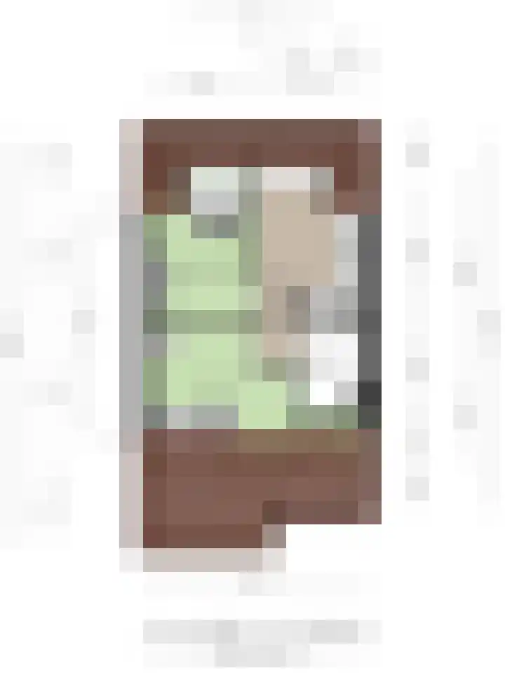 De Poort 20 Kesteren thumbnail 47