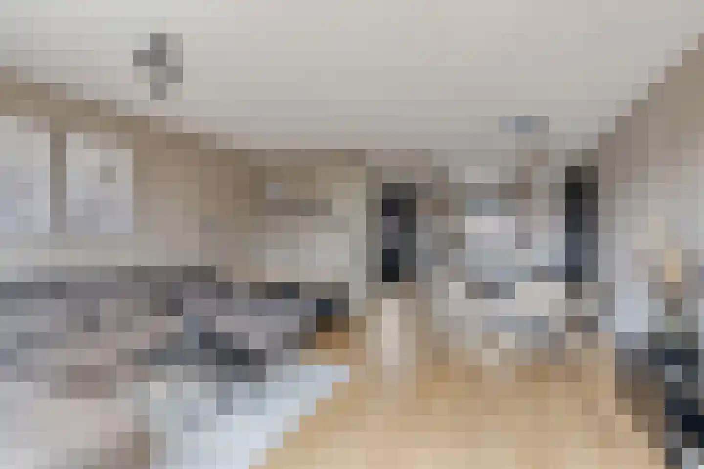 De Poort 20 Kesteren thumbnail 5