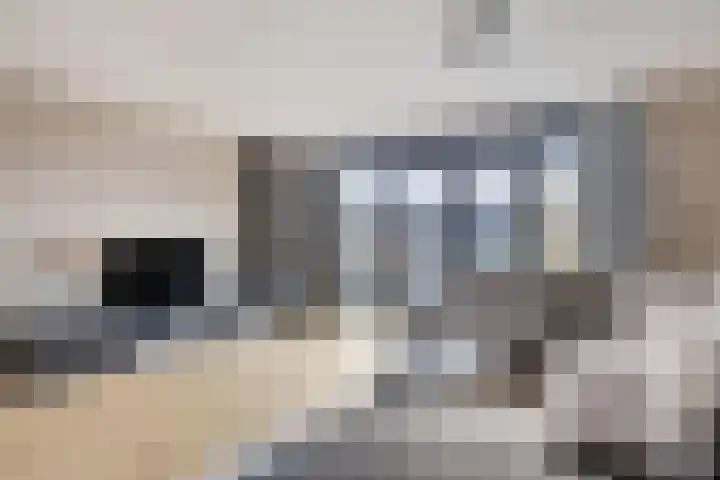 De Poort 20 Kesteren thumbnail 5