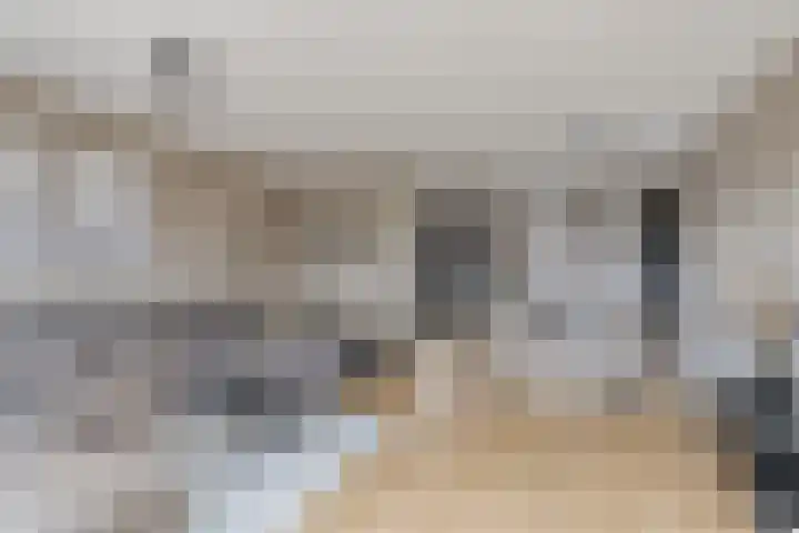 De Poort 20 Kesteren thumbnail 6