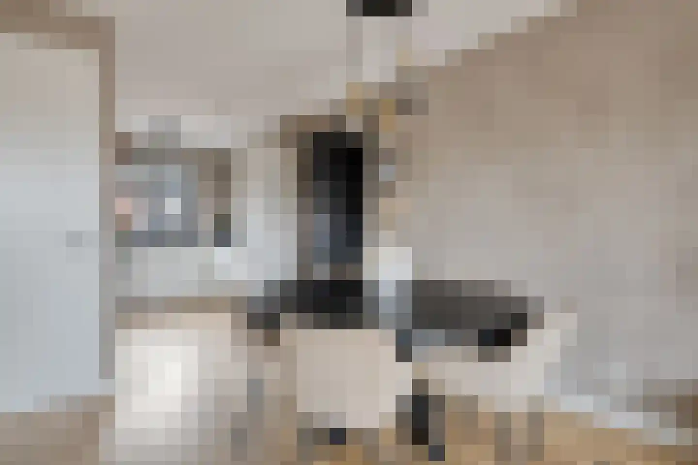 De Poort 20 Kesteren thumbnail 7