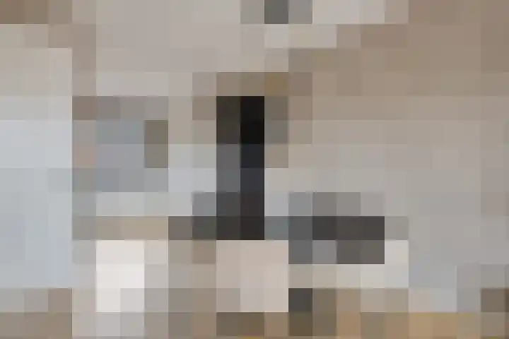 De Poort 20 Kesteren thumbnail 8