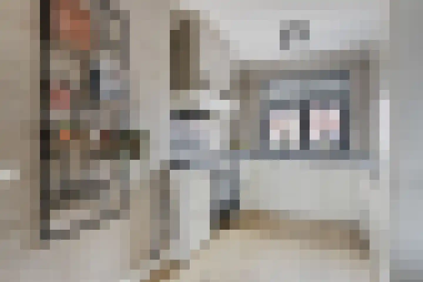 De Poort 20 Kesteren thumbnail 8