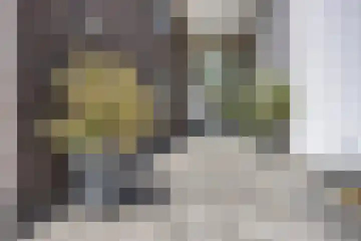 De Poort 23 Andel thumbnail 10