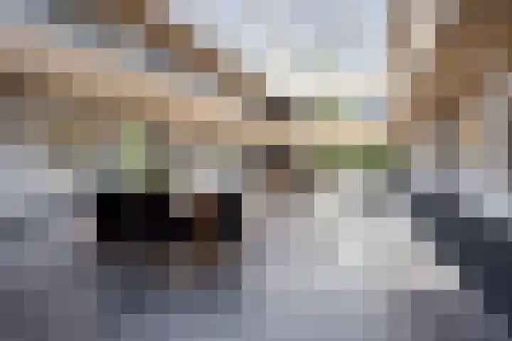 De Poort 23 Andel thumbnail 12