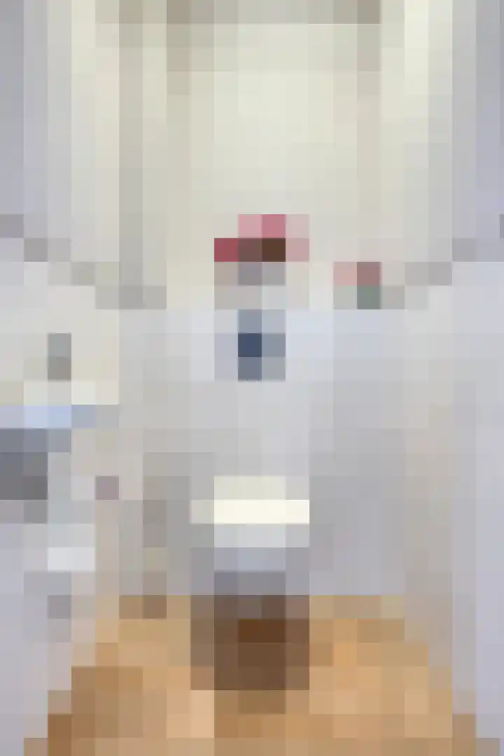 De Poort 23 Andel thumbnail 15