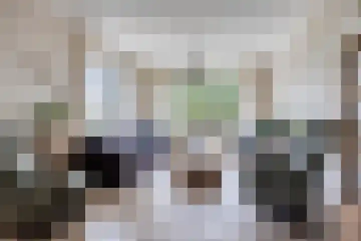 De Poort 23 Andel thumbnail 18