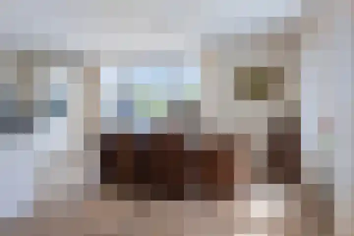 De Poort 23 Andel thumbnail 21