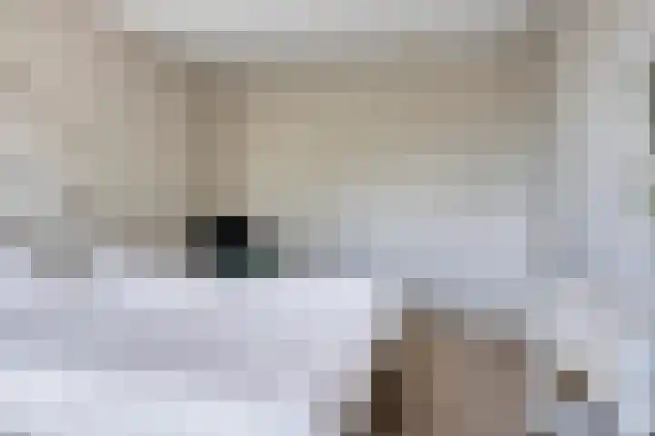 De Poort 23 Andel thumbnail 27
