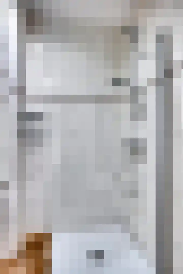 De Poort 23 Andel thumbnail 29