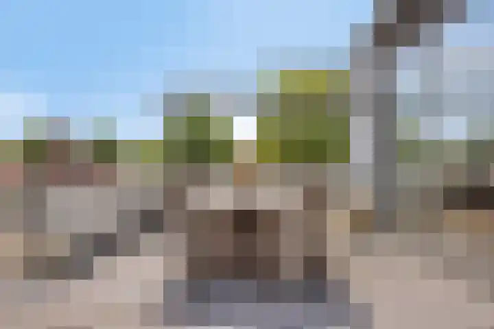De Poort 23 Andel thumbnail 37