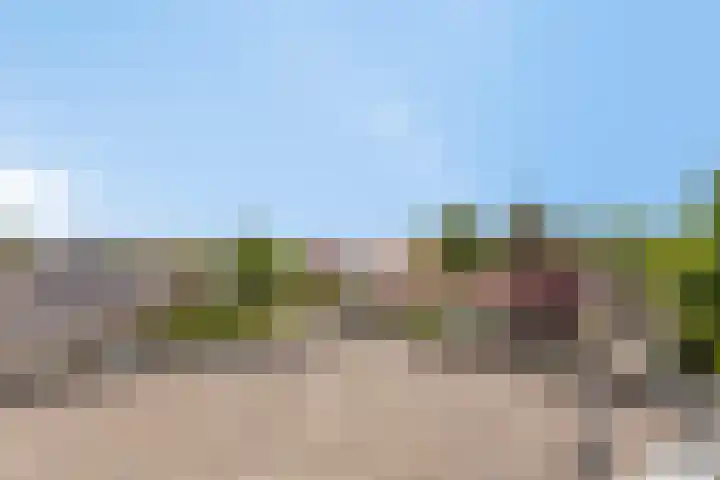 De Poort 23 Andel thumbnail 41