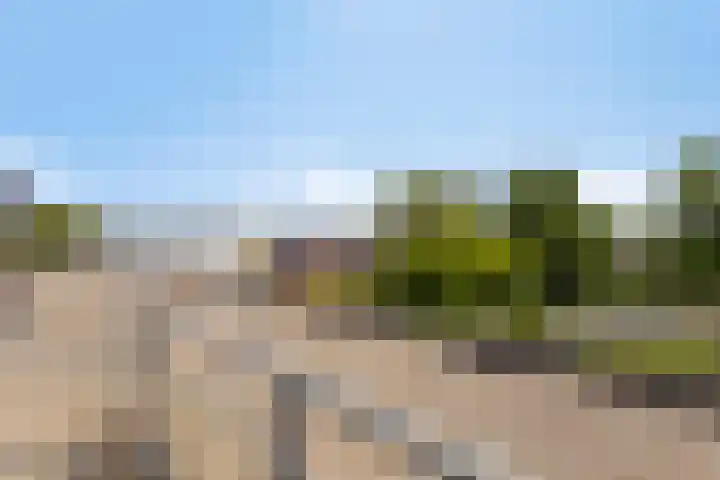 De Poort 23 Andel thumbnail 42