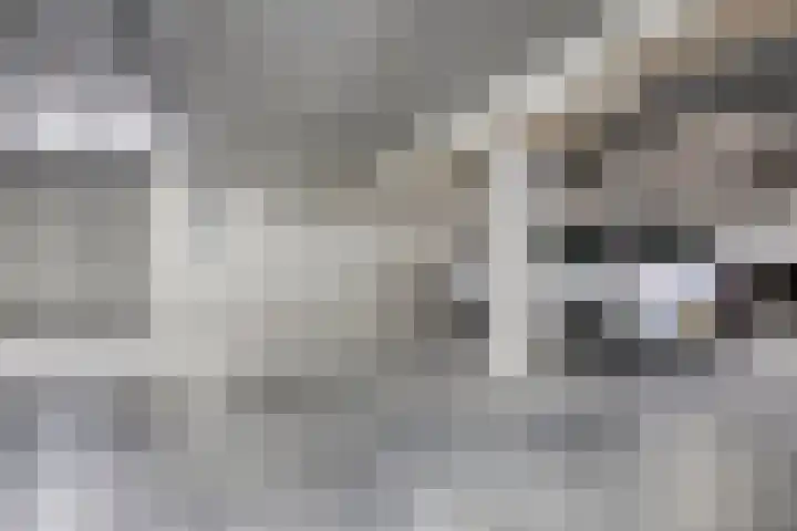 De Poort 23 Andel thumbnail 43